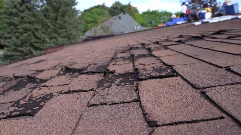 Roof Insulation in Eureka, CA